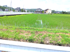 倉庫 - 埼玉県大里郡寄居町富田