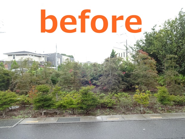 劇的ビフォーアフター　伐採抜根は気持ちいい