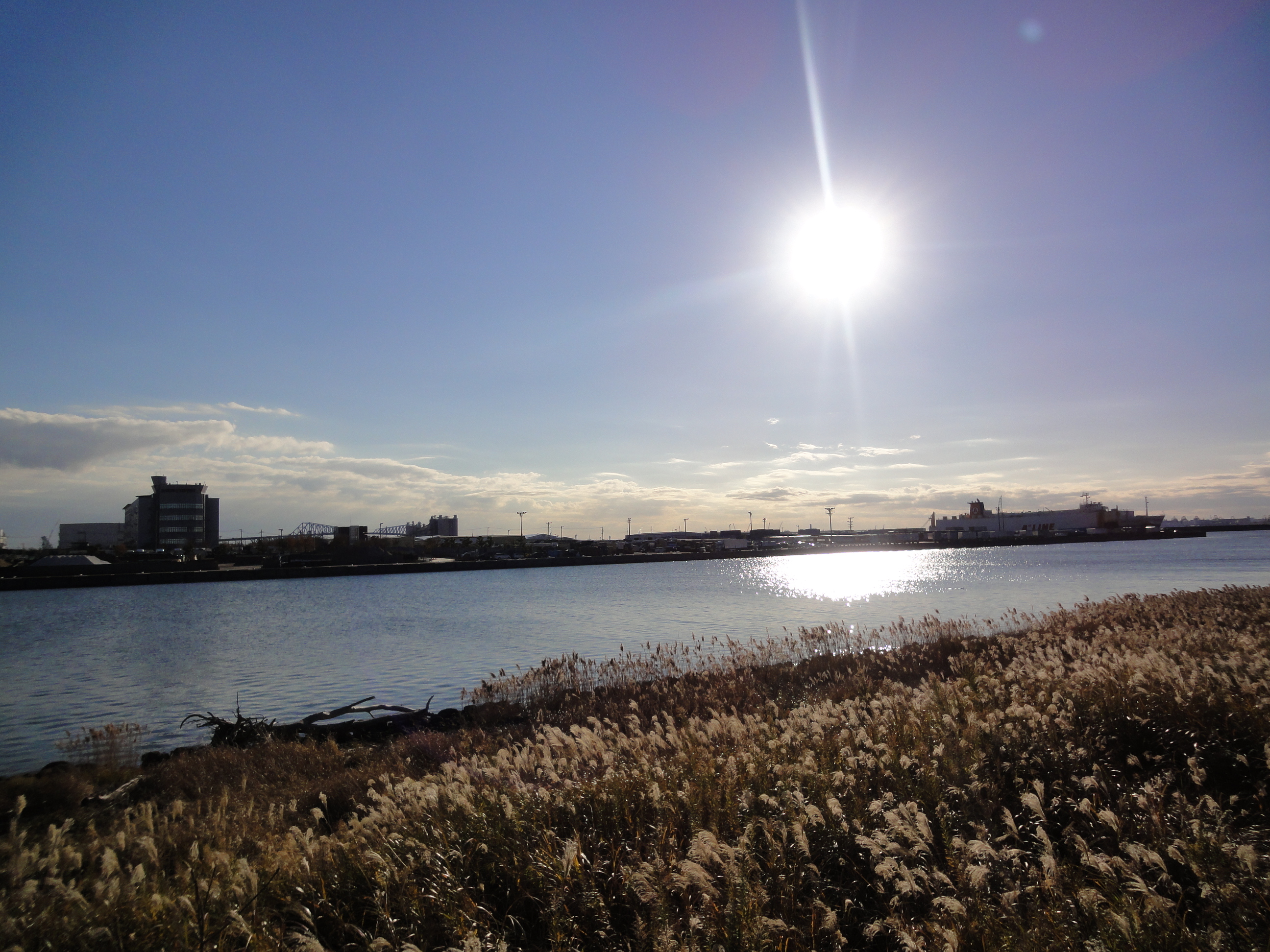 新木場の貯木場