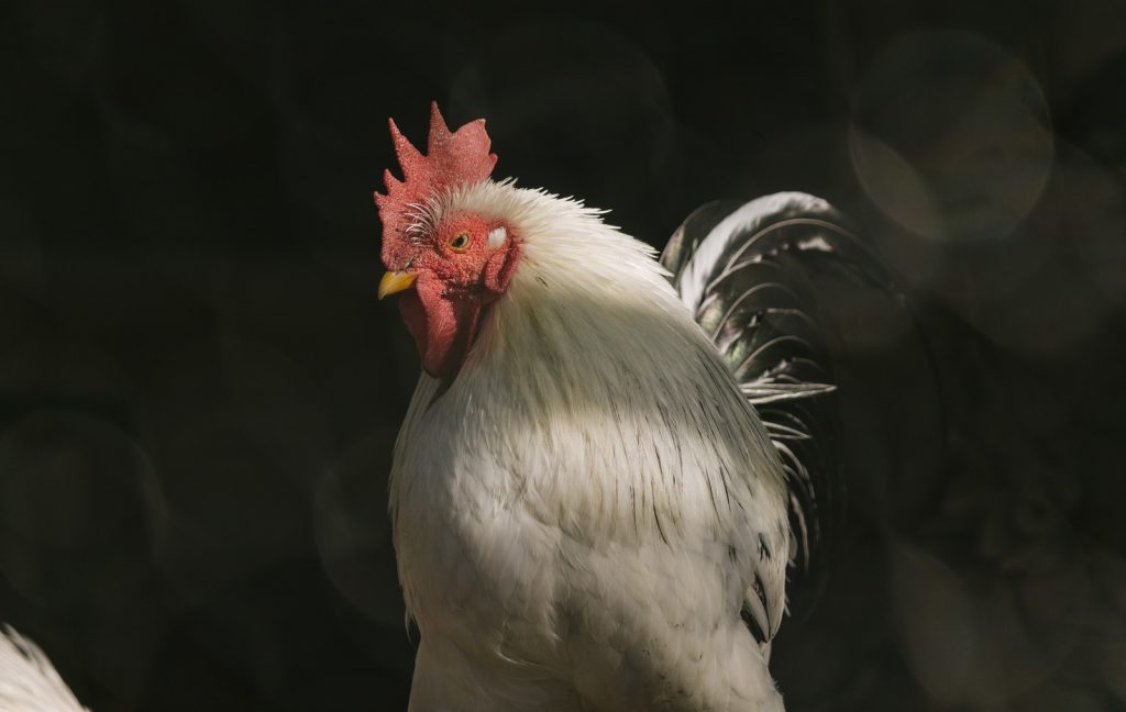 正直に倉庫・工場の物件掲載