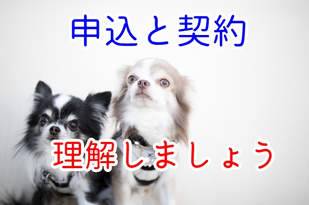 申込と契約は違います（不動産賃貸の契約までの流れ）
