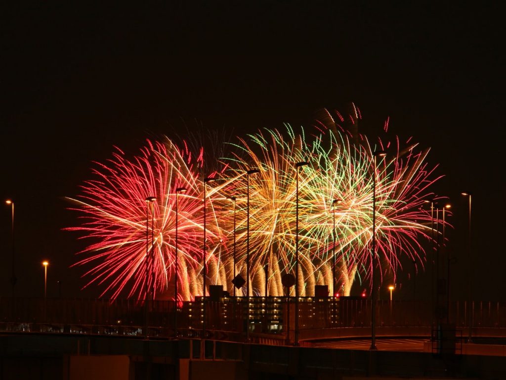 第51回葛飾納涼花火大会