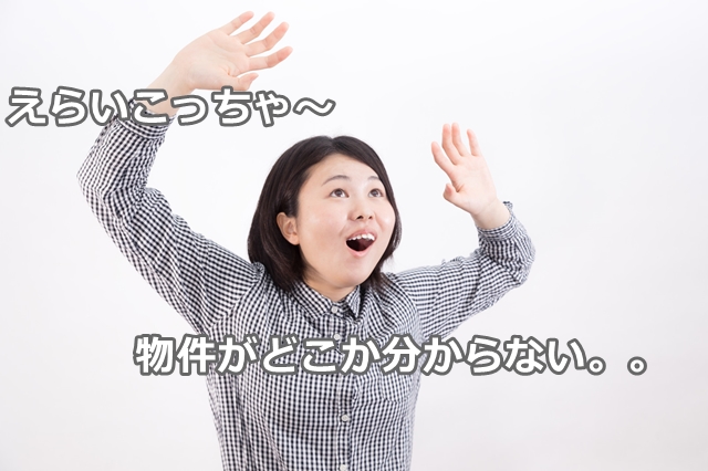 土地の住所をカーナビに入力しても出てこないんだけど、、、（住所と地番は別物）