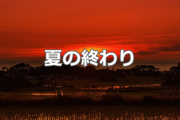 貸倉庫東京R　ブログの人気記事　2017年8月