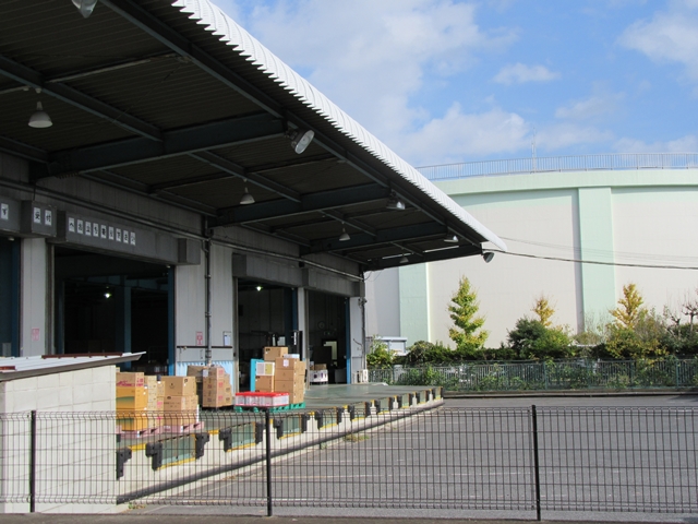 貨物の荷役に便利な高床式（プラットホーム型）の大型物件